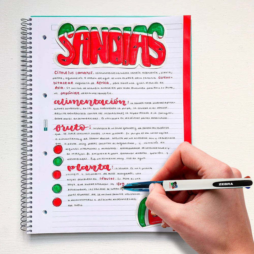 Studygram Print StudyGram – Zebra México